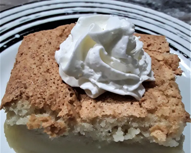 Easy Custard Cake Recipe Food com